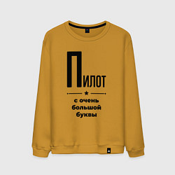Мужской свитшот Пилот - с очень большой буквы