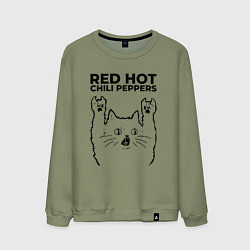 Мужской свитшот Red Hot Chili Peppers - rock cat