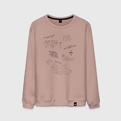 Свитшот хлопковый мужской Математик, цвет: пыльно-розовый