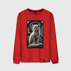 Свитшот хлопковый мужской Волгоград котик, цвет: красный