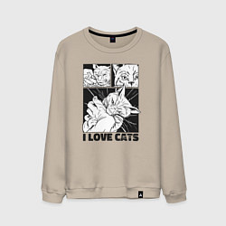 Мужской свитшот I love cats comic