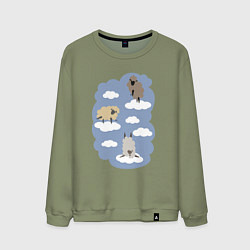Мужской свитшот БаранОблачность