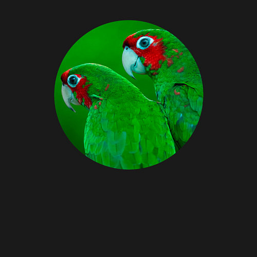 Мужской свитшот Два зелёных попугая / Черный – фото 3