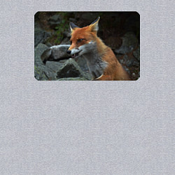 Свитшот хлопковый мужской Лисичка на камнях, цвет: меланж — фото 2