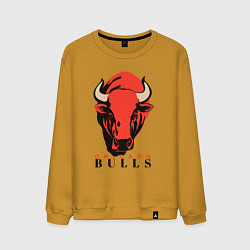 Мужской свитшот Chicago bull