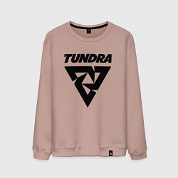 Свитшот хлопковый мужской Tundra esports logo, цвет: пыльно-розовый