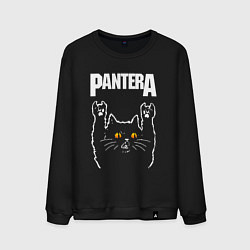 Мужской свитшот Pantera rock cat