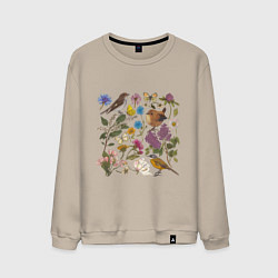 Свитшот хлопковый мужской Цветение и птички, цвет: миндальный