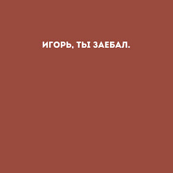 Свитшот хлопковый мужской Игорь, ты заебал: Надо было сразу тебя нахуй посла, цвет: кирпичный — фото 2