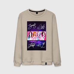 Мужской свитшот Blackpink signature