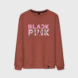 Свитшот хлопковый мужской Blackpink logo Jisoo Lisa Jennie Rose, цвет: кирпичный