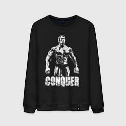Мужской свитшот Arnold conquer