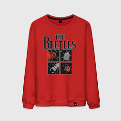 Свитшот хлопковый мужской Beetles, цвет: красный