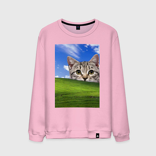 Мужской свитшот Кот и безмятежность в Windows XP / Светло-розовый – фото 1