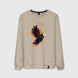 Свитшот хлопковый мужской Орел парящая птица абстракция, цвет: миндальный
