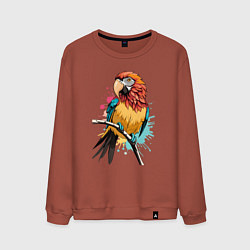 Свитшот хлопковый мужской Акварельный попугай, цвет: кирпичный