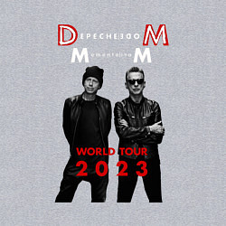 Свитшот хлопковый мужской Depeche Mode 2023 Memento Mori - Dave & Martin 04, цвет: меланж — фото 2