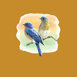 Свитшот хлопковый мужской Птицы живут везде, цвет: горчичный — фото 2