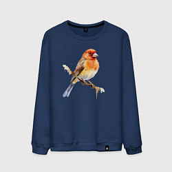 Свитшот хлопковый мужской Оранжевая птица на ветке, цвет: тёмно-синий