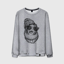 Свитшот хлопковый мужской Морская свинка модница, цвет: меланж