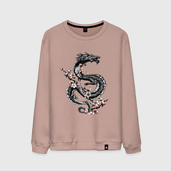 Свитшот хлопковый мужской Дракон с цветущей сакурой, цвет: пыльно-розовый