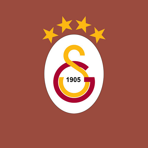 Мужской свитшот Galatasaray fc sport / Кирпичный – фото 3