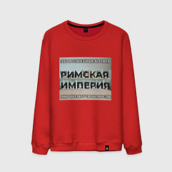 Мужской свитшот Римская империя котами