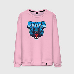 Мужской свитшот Bears team