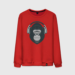 Мужской свитшот Monkey music