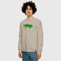 Свитшот хлопковый мужской Зелёная рыбка, цвет: миндальный — фото 2