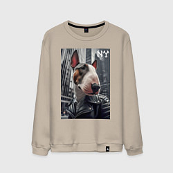 Свитшот хлопковый мужской Dude bull terrier in New York - ai art, цвет: миндальный