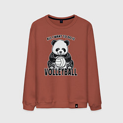 Мужской свитшот Panda volleyball