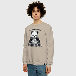 Свитшот хлопковый мужской Panda volleyball, цвет: миндальный — фото 2