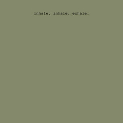 Свитшот хлопковый мужской Inhale inhale exhale, цвет: авокадо — фото 2