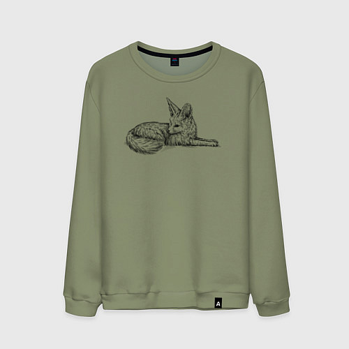 Мужской свитшот Фенек лежит / Авокадо – фото 1