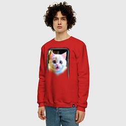 Свитшот хлопковый мужской Кот в смартфоне, цвет: красный — фото 2