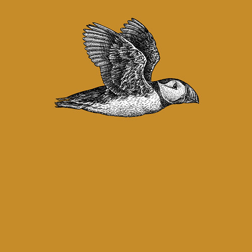 Мужской свитшот Тупик летит / Горчичный – фото 3