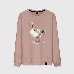 Свитшот хлопковый мужской Серый гусь, цвет: пыльно-розовый