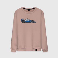 Мужской свитшот Формула 1 синяя