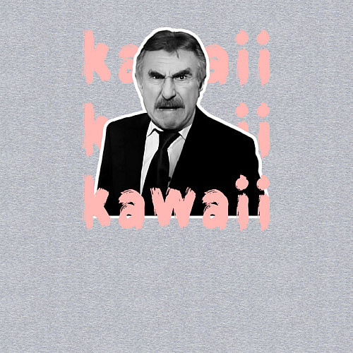 Мужской свитшот Леонид Каневский милашка / Меланж – фото 3