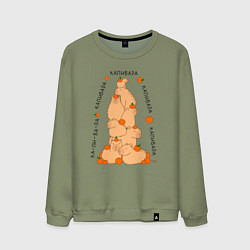 Свитшот хлопковый мужской Гора капибара, цвет: авокадо