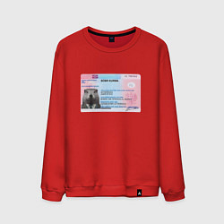 Свитшот хлопковый мужской Bobr kurwa passport, цвет: красный