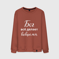 Свитшот хлопковый мужской Бог всё делает вовремя, цвет: кирпичный