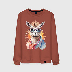 Мужской свитшот Лама в очках цвет