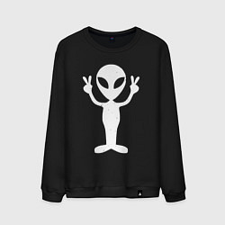 Мужской свитшот Peace alien