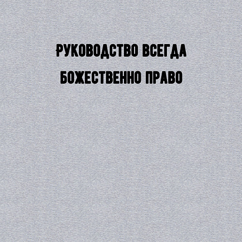 Мужской свитшот Руководство божественно право / Меланж – фото 3