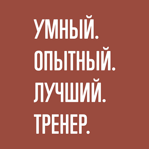 Мужской свитшот Умный опытный лучший тренер / Кирпичный – фото 3