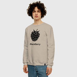 Свитшот хлопковый мужской Ежевика черная ягода, цвет: миндальный — фото 2