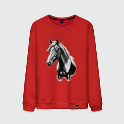 Свитшот хлопковый мужской Портрет лошади, цвет: красный