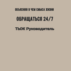 Свитшот хлопковый мужской ТЫЖ руководитель, цвет: миндальный — фото 2